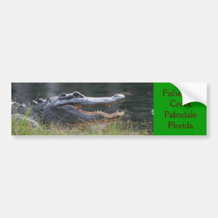 Open wide  Fisheating Creek Palmdale Florida Bumper Sticker