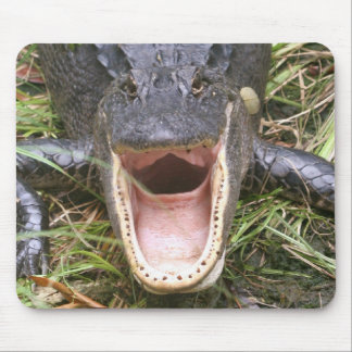 Open Wide! Florida Alligator Mouse Mat