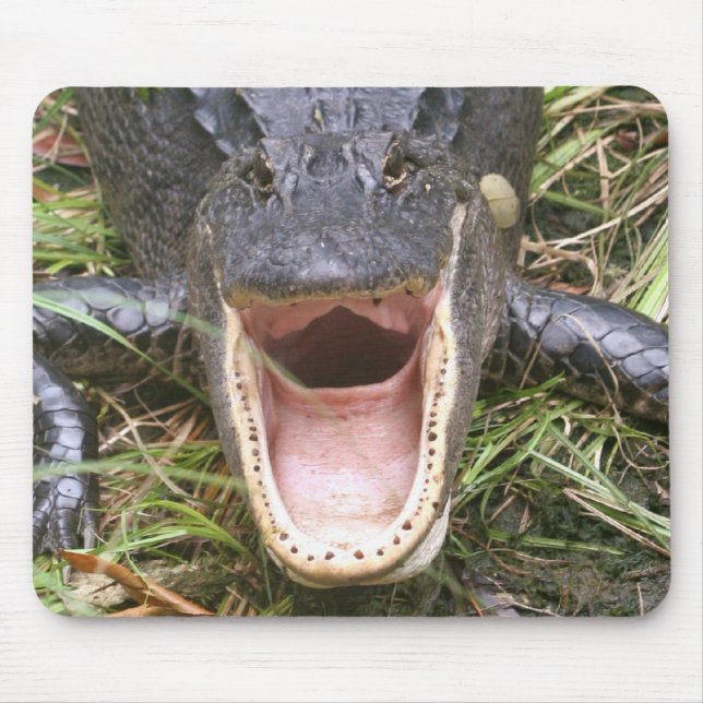 Open Wide! Florida Alligator Mouse Mat (Front)