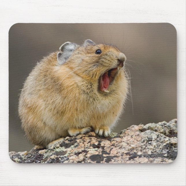 Open Wide Mouse Mat (Front)