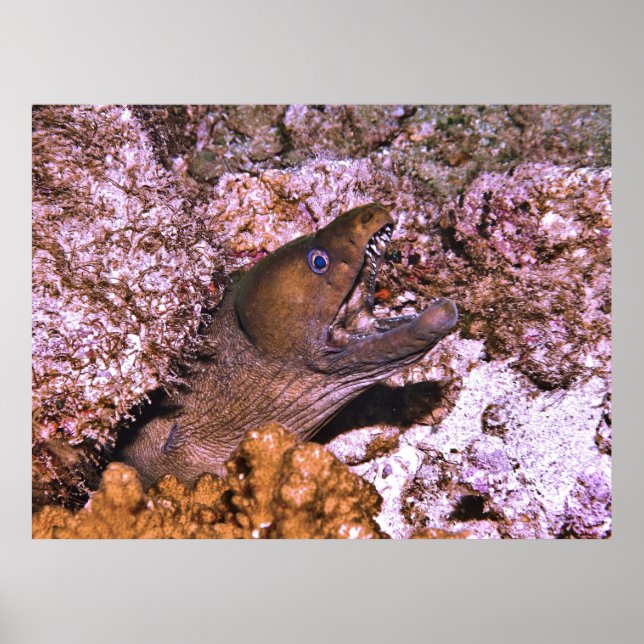 Open Wide Poster (Front)