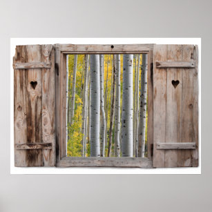 Open Wooden Window Birch Forest View Poster