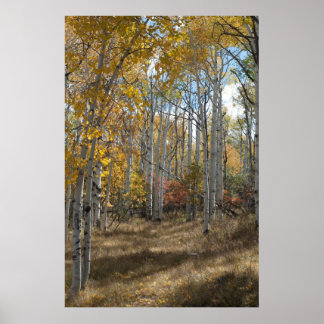 Open Woods Poster