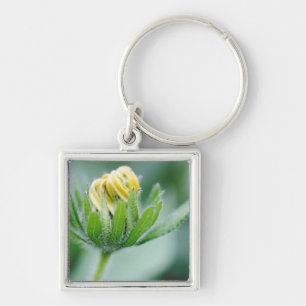 Opening Flower Of Cone Flower Key Ring