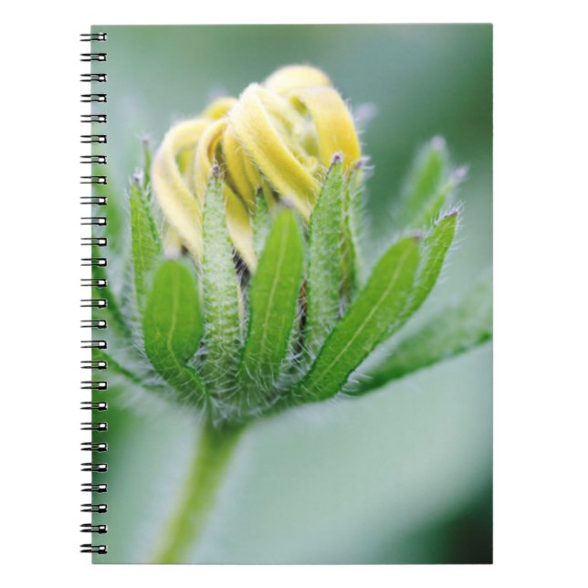 Opening Flower Of Cone Flower Notebook (Front)