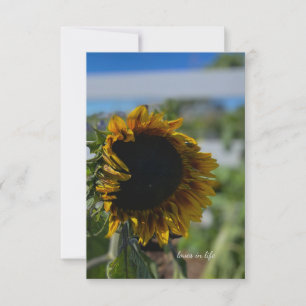 Opening Sunflower Card