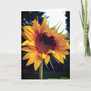 Opening Sunflower Yellow Green Card