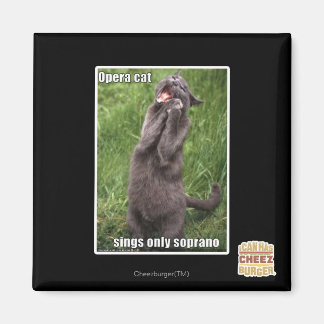 Opera Cat Magnet (Front)