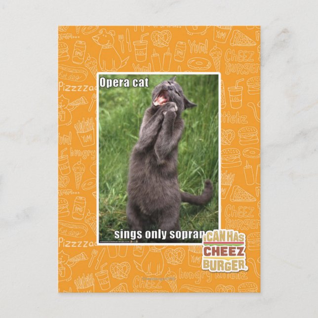 Opera Cat Postcard (Front)