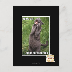 Opera Cat Postcard