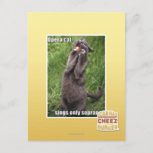 Opera Cat Postcard