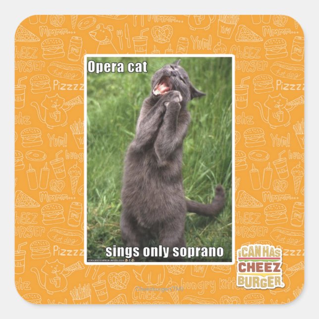 Opera Cat Square Sticker (Front)