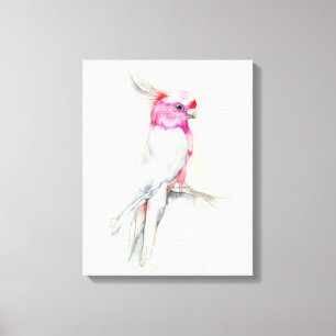 Opera Cockatoo Canvas Print