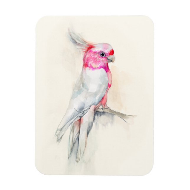 Opera Cockatoo Magnet (Vertical)