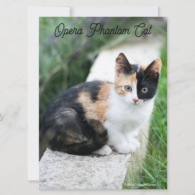 Opera Phantom Cat (Front)