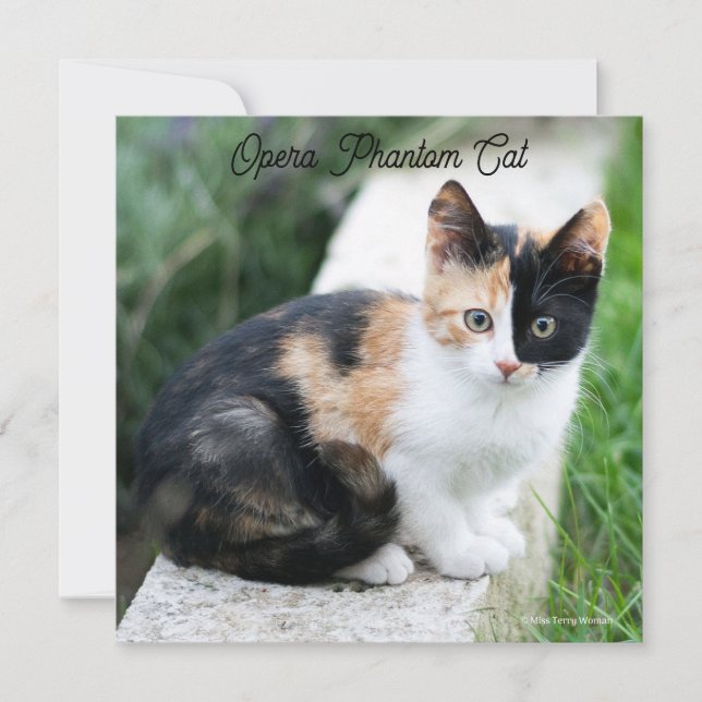 Opera Phantom Cat (Front)