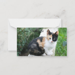 Opera Phantom Cat Card