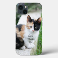 Opera Phantom Cat