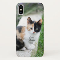 Opera Phantom Cat