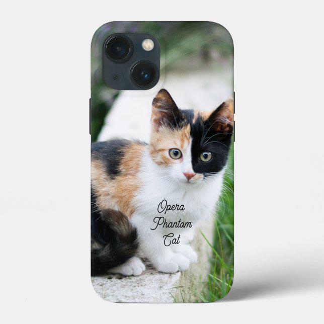 Opera Phantom Cat Case-Mate iPhone Case (Back)