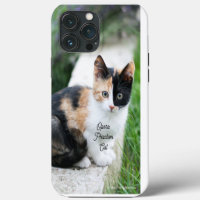 Opera Phantom Cat