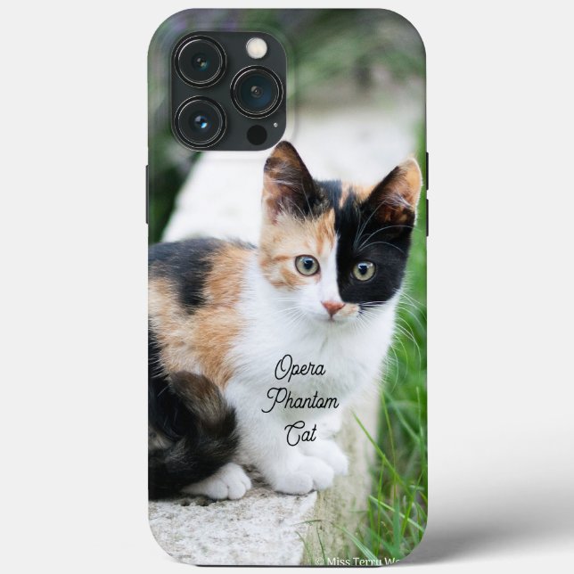 Opera Phantom Cat Case-Mate iPhone Case (Back)