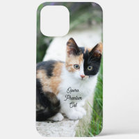 Opera Phantom Cat