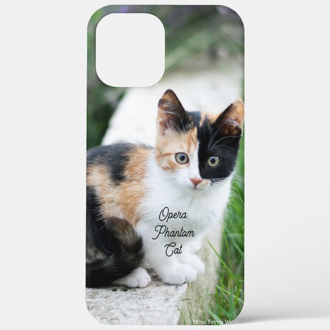Opera Phantom Cat Case-Mate iPhone Case (Back)