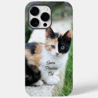 Opera Phantom Cat