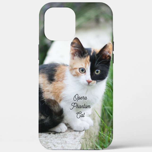 Opera Phantom Cat Case-Mate iPhone Case (Back)