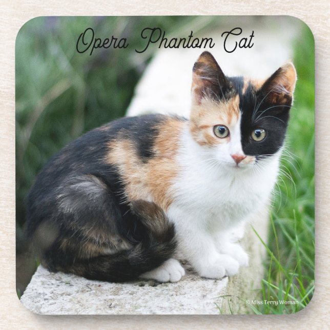 Opera Phantom Cat Coaster (Front)