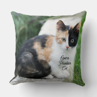 Opera Phantom Cat
