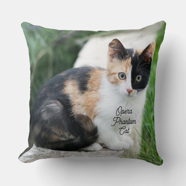 Opera Phantom Cat Cushion (Front)