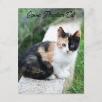 Opera Phantom Cat