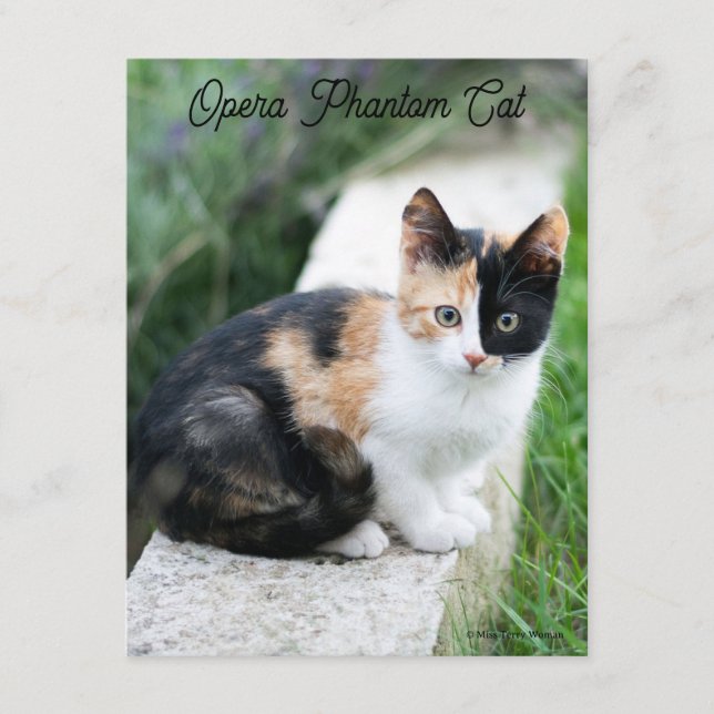 Opera Phantom Cat Enclosure Card (Front)