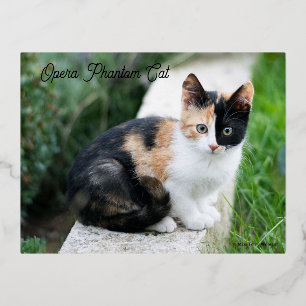 Opera Phantom Cat Foil Holiday Postcard