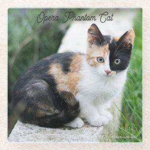 Opera Phantom Cat Glass Coaster