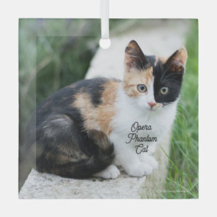 Opera Phantom Cat Glass Tree Decoration
