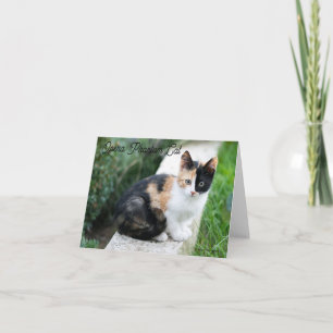 Opera Phantom Cat Holiday Card