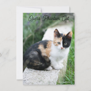 Opera Phantom Cat Holiday Card