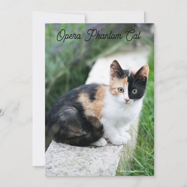 Opera Phantom Cat Holiday Card (Front)