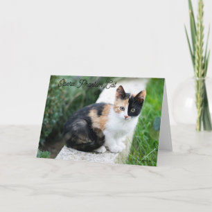 Opera Phantom Cat Invitation