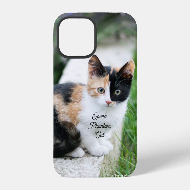 Opera Phantom Cat iPhone Case (Back)
