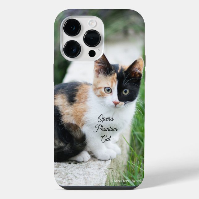 Opera Phantom Cat iPhone Case (Back)