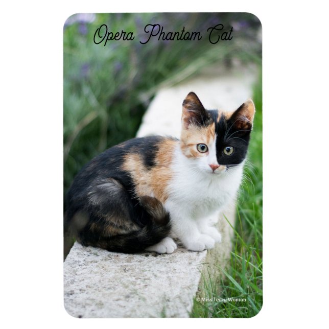 Opera Phantom Cat Magnet (Vertical)