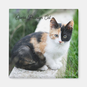 Opera Phantom Cat Magnet