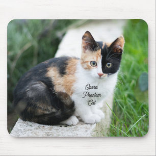 Opera Phantom Cat Mouse Mat