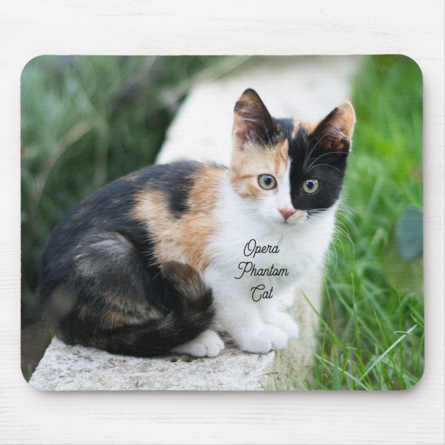 Opera Phantom Cat Mouse Mat (Front)