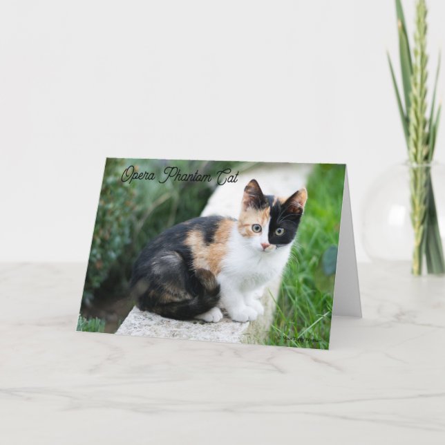 Opera Phantom Cat Note Card (Front)