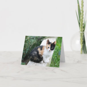 Opera Phantom Cat Note Card